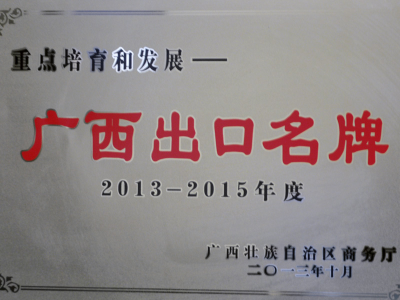 honor06 沉点造就和发展--广西出口名牌