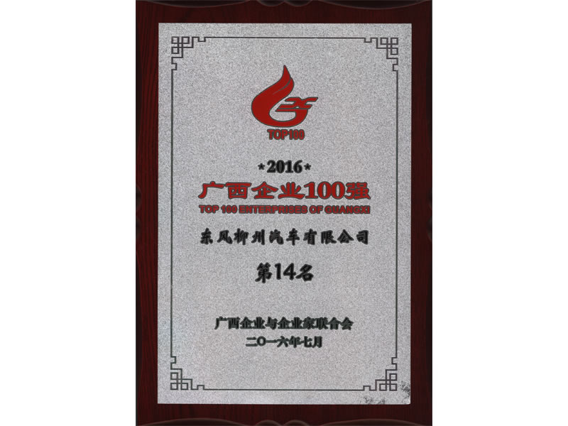 honor23 2016年广西企业100强